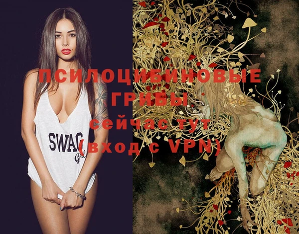 spice Нягань
