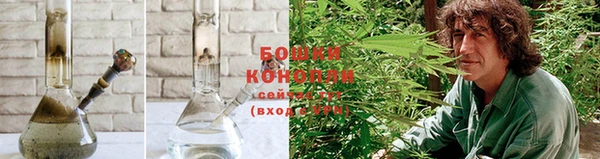каннабис Новодвинск