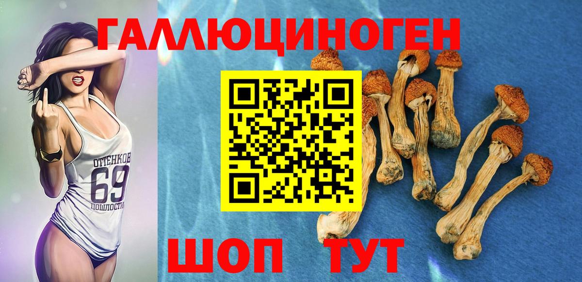 Галлюциногенные грибы мухоморы Боровичи