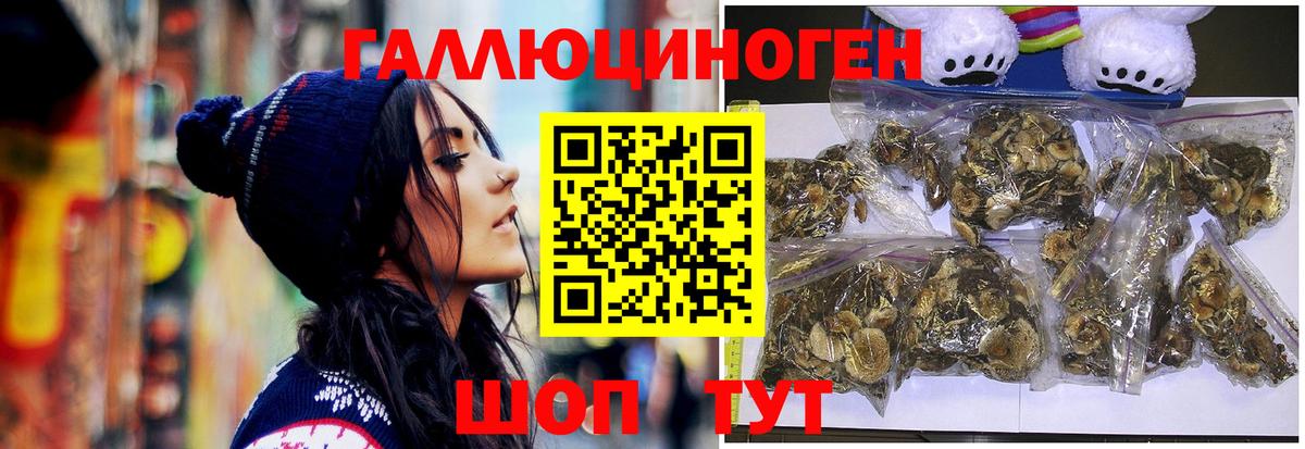 Псилоцибиновые грибы мицелий  Вход с VPN  Боровичи 